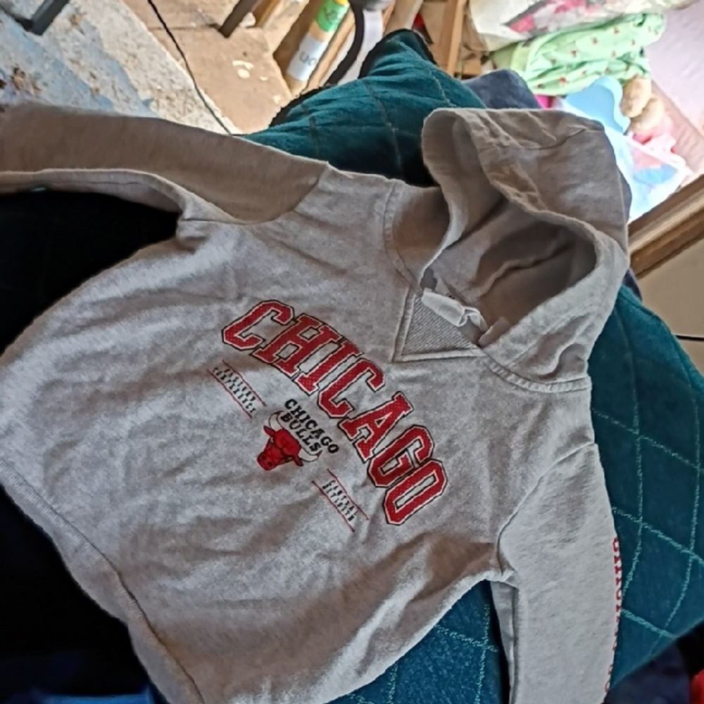 NBA Chicago Bulls Kids Hoodie - Gray and Red Accents